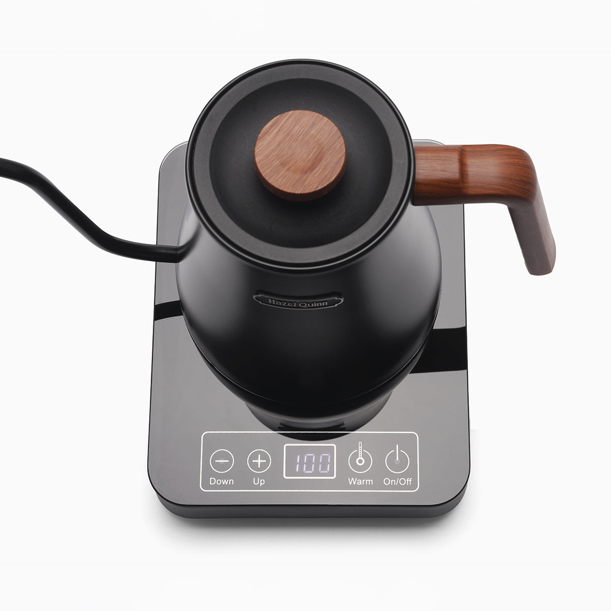 Gooseneck Electric Kettle with LED Display, Precision Temperature