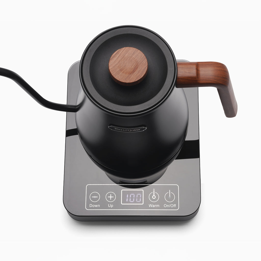 Gooseneck Electric Kettle with LED Display, Precision Temperature